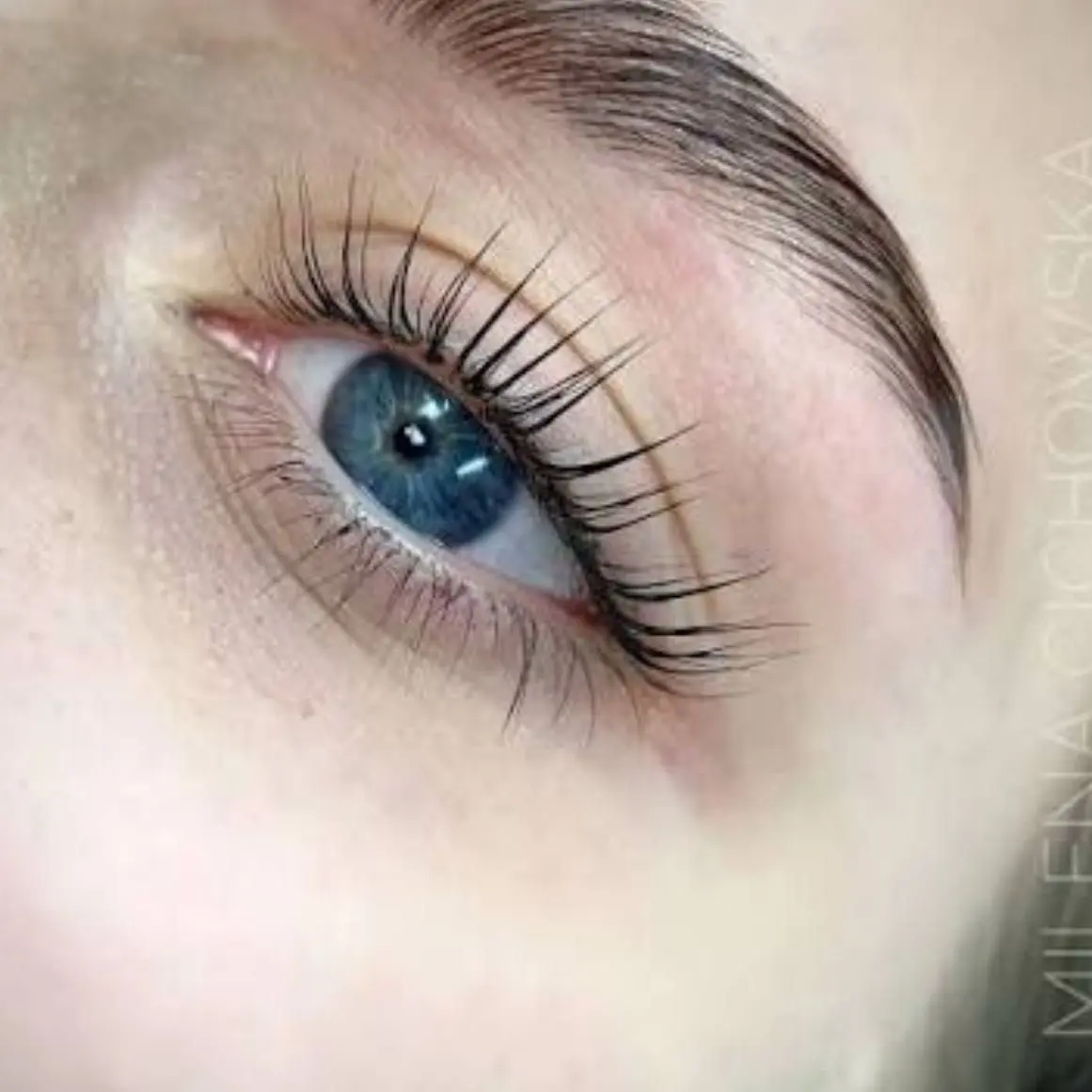 BEAUTY LASHES — główne zdjęcie